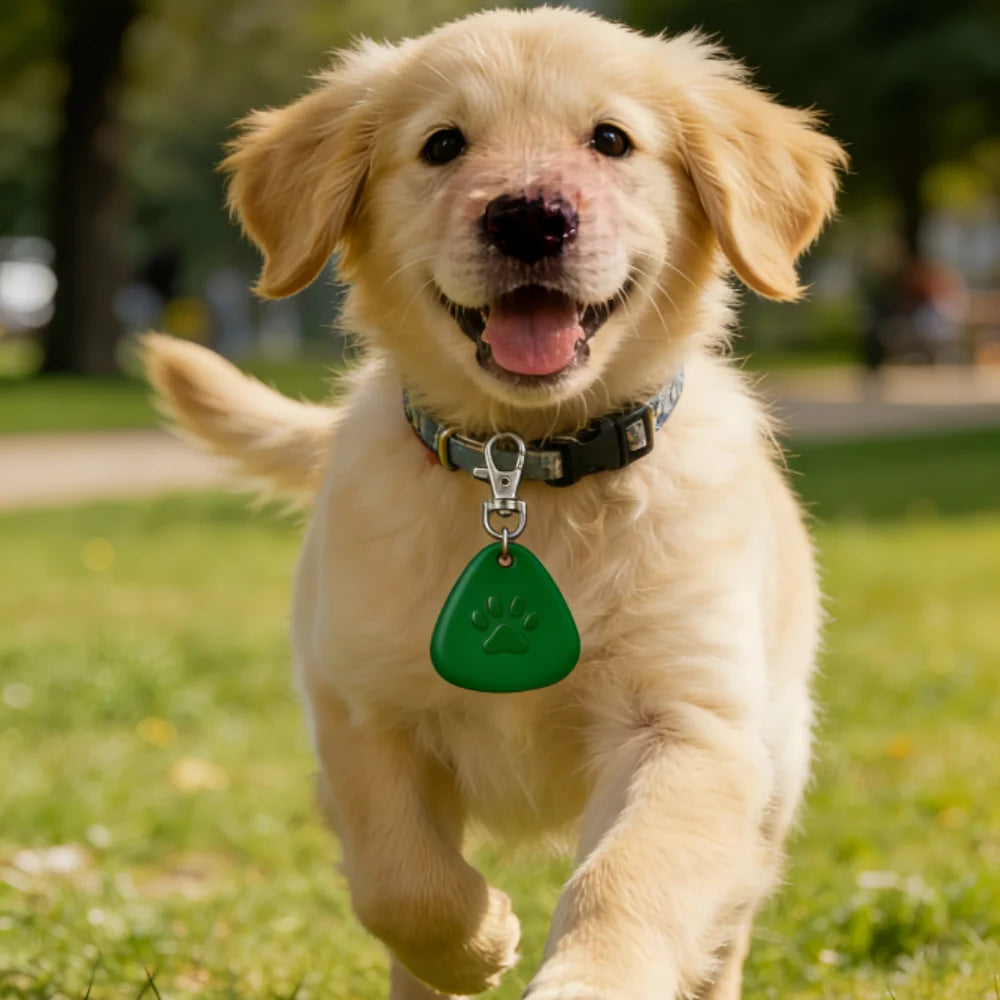LED Pet Collar Light, Clip-On Safety Light