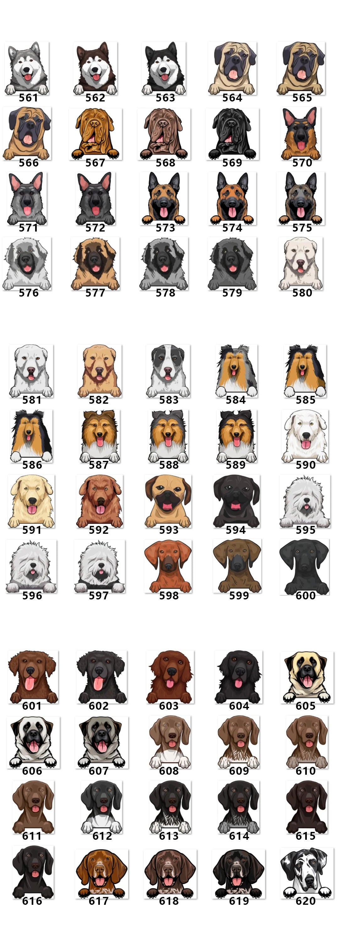 Personalized Pet Storage Box Free Name Image Print