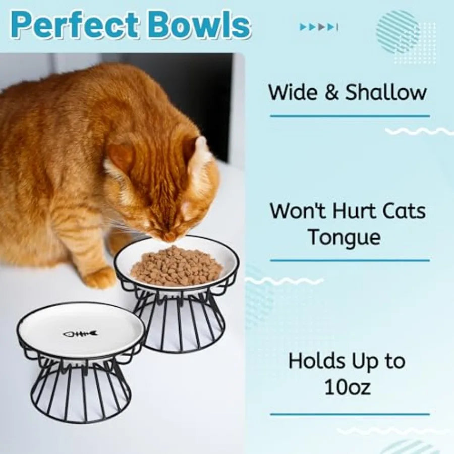 Cute Raised Ceramic Dish with Metal Stand