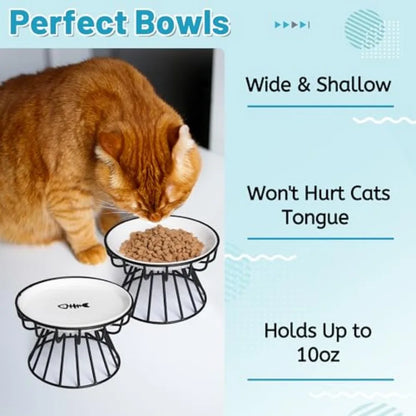 Cute Raised Ceramic Dish with Metal Stand