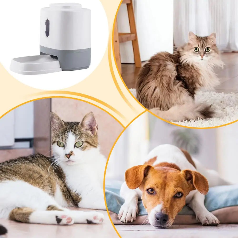 Automatic Pet Feeder With Bowl