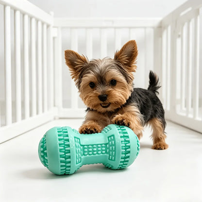 Safe and Fun Chew Toy