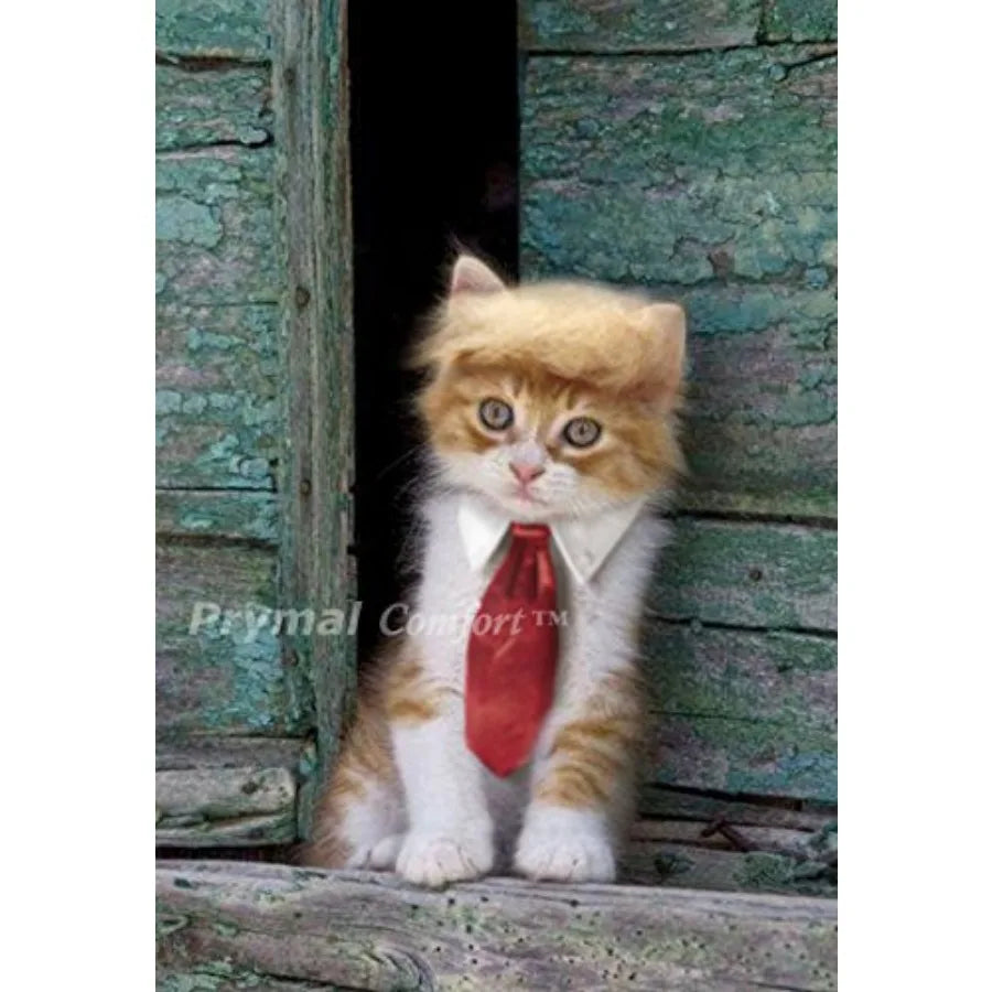 Fun Pet Costume for Halloween and Pictures