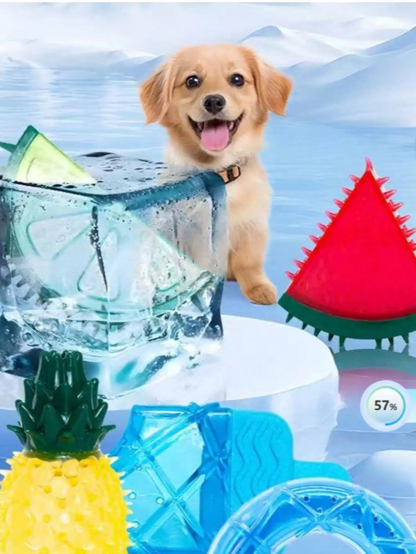 Pet Chew Toy for Summer