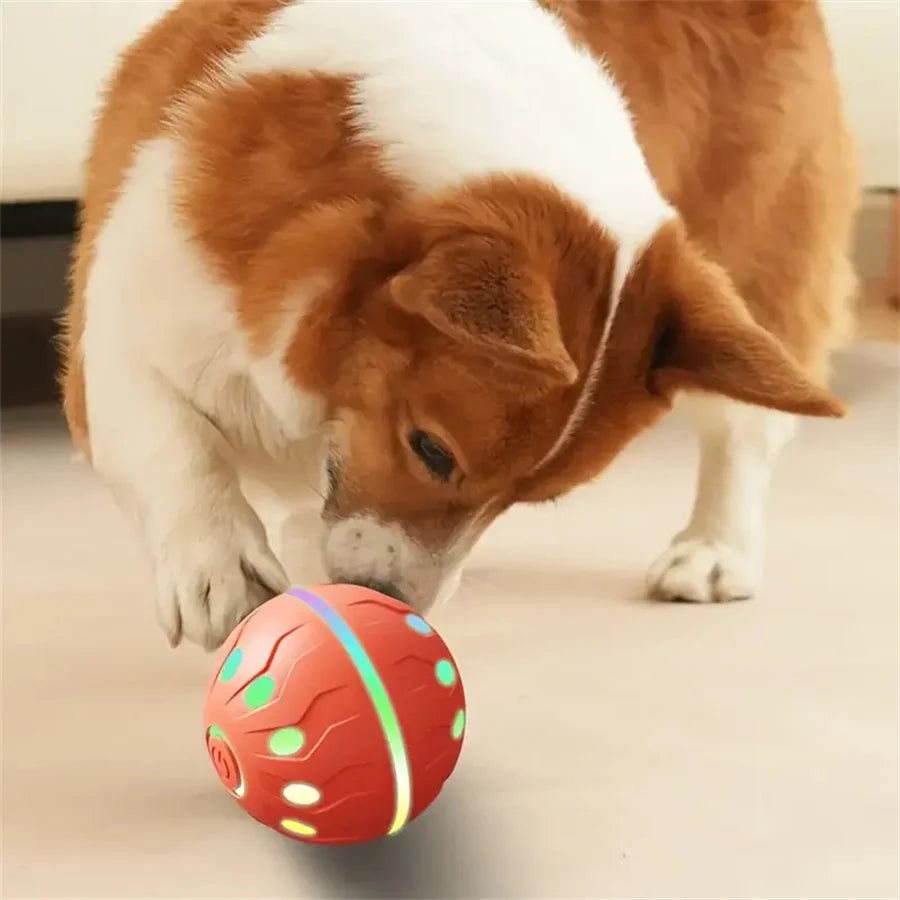 Smart Pet Interactive Toy Ball