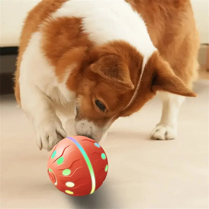 Smart Pet Interactive Toy Ball