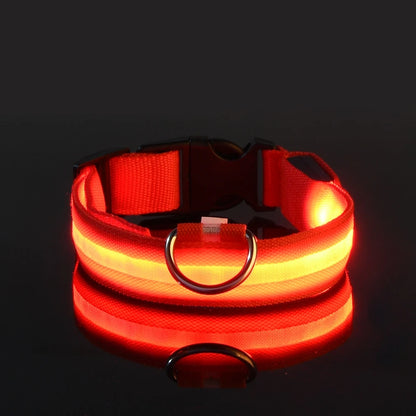 Nylon LED Night Safety Pet Dog Collar