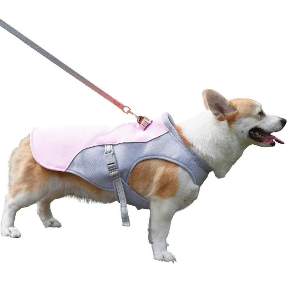 Dog Cooling Summer Harness