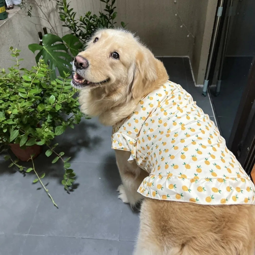 Summer Print Dog Shirt Dress