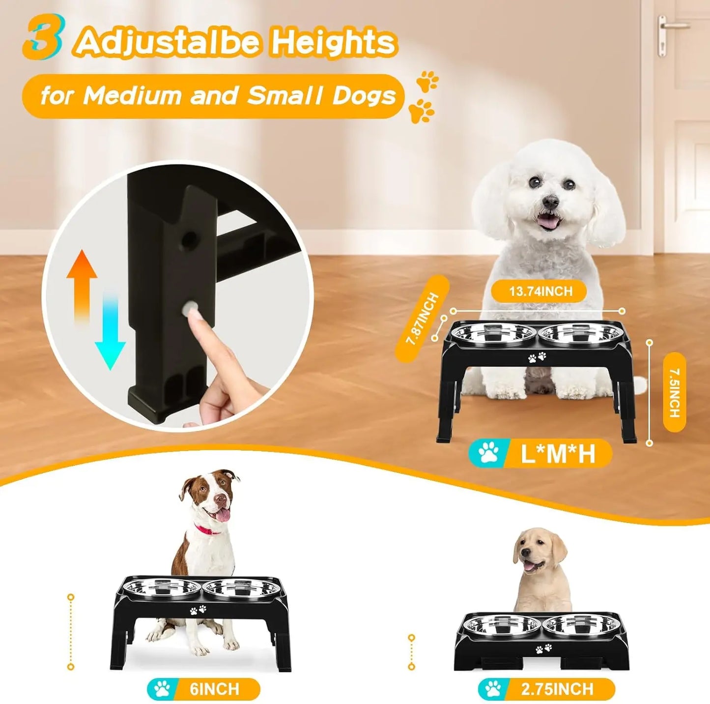 Elevated Dog Bowls for Small Medium Pets