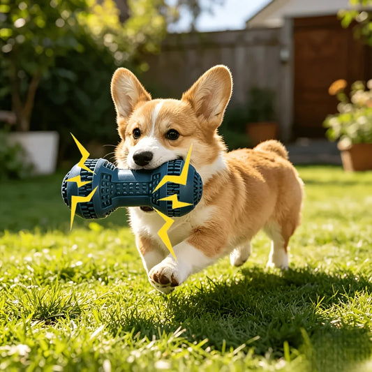 Safe and Fun Chew Toy