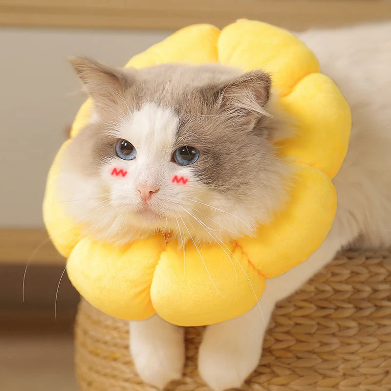 Comfortable Pet Recovery Collar