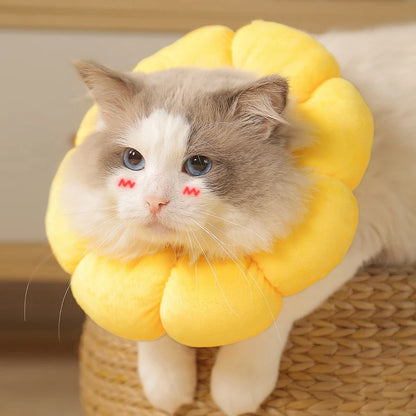 Comfortable Pet Recovery Collar