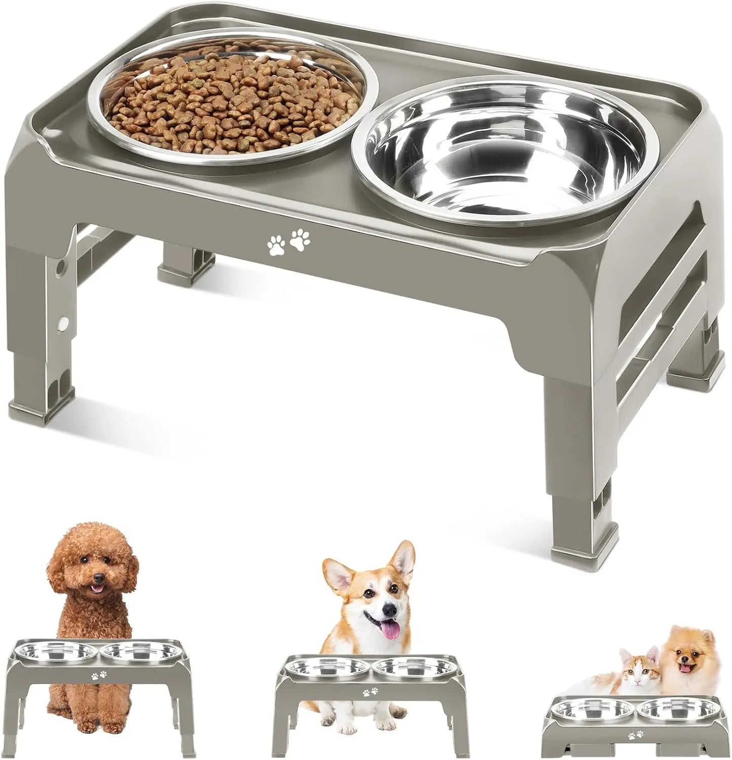 Elevated Dog Bowls for Small Medium Pets