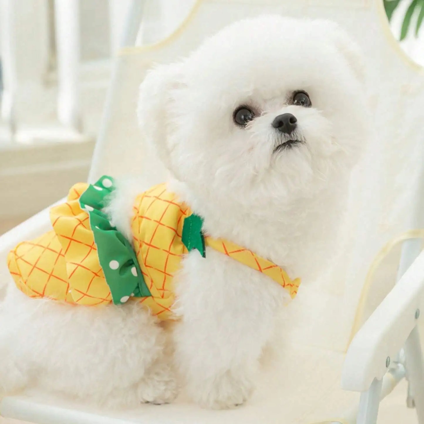 2-Piece Pineapple Pet Swimwear