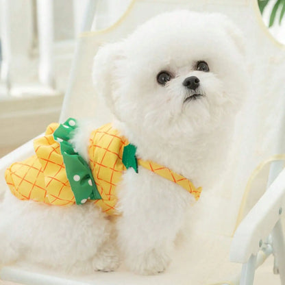2-Piece Pineapple Pet Swimwear