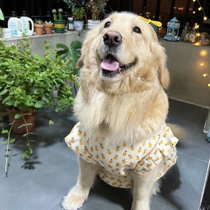 Summer Print Dog Shirt Dress