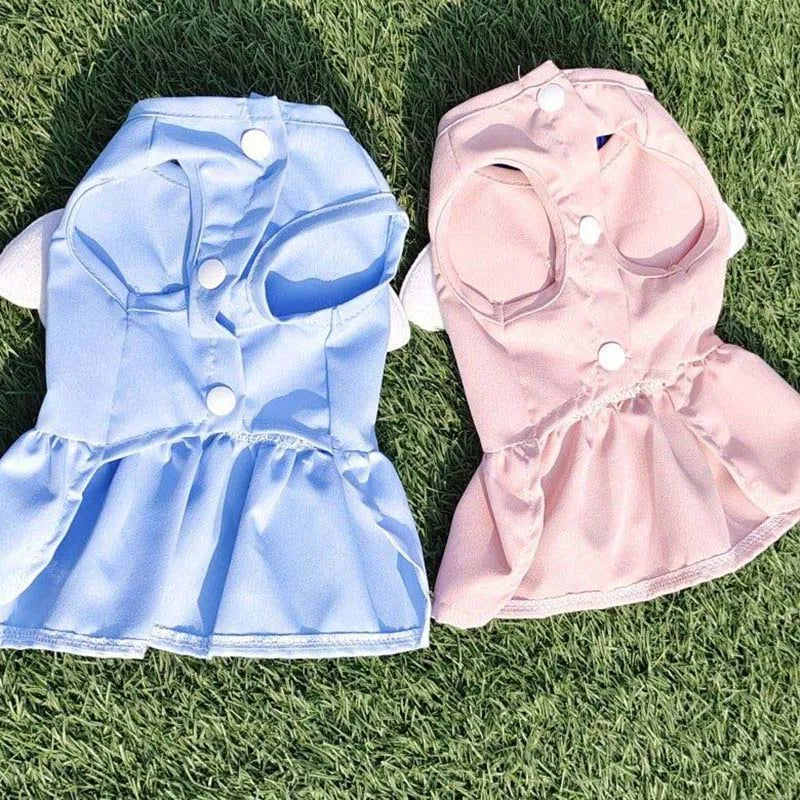 Accessories Spring Summer Cat Harness Collars