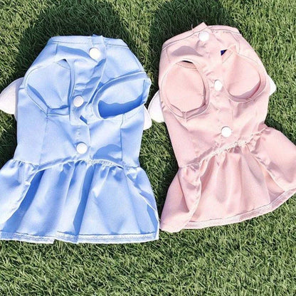 Accessories Spring Summer Cat Harness Collars