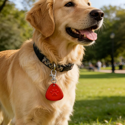 LED Pet Collar Light, Clip-On Safety Light