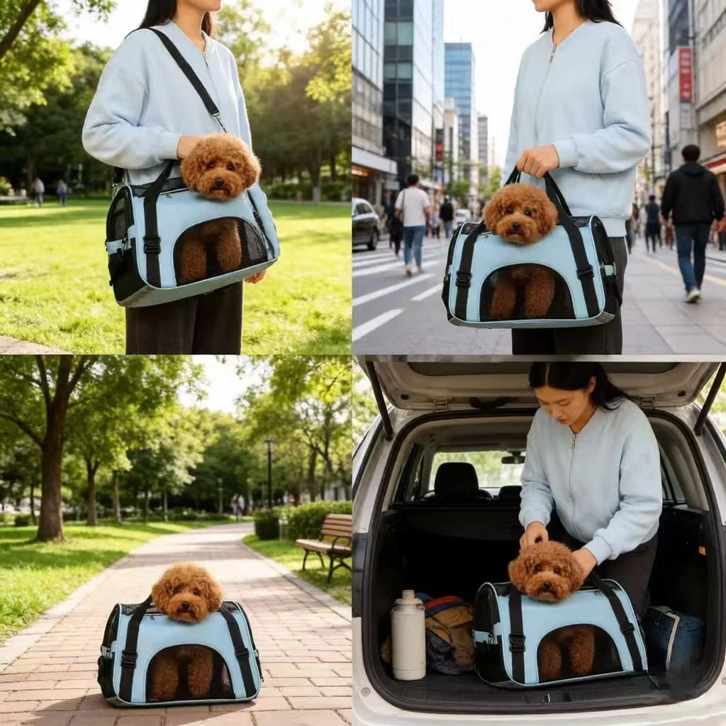 Sturdy Ventilated Travel Pet Carrier in Blue