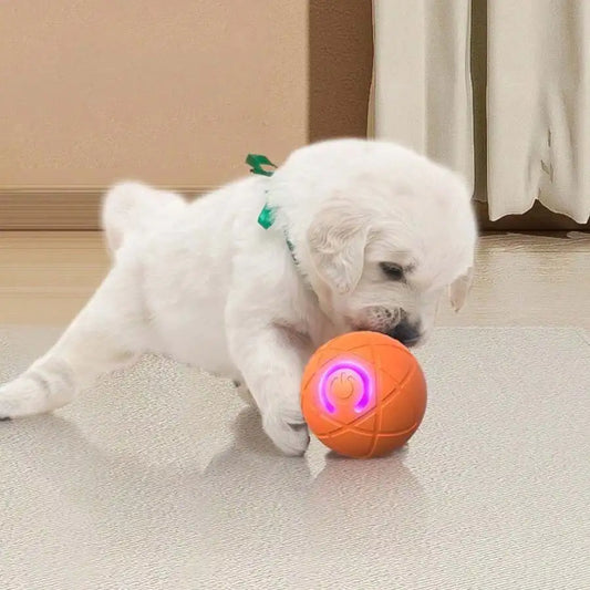 Pet Bouncing Vibrating Ball for Doggies