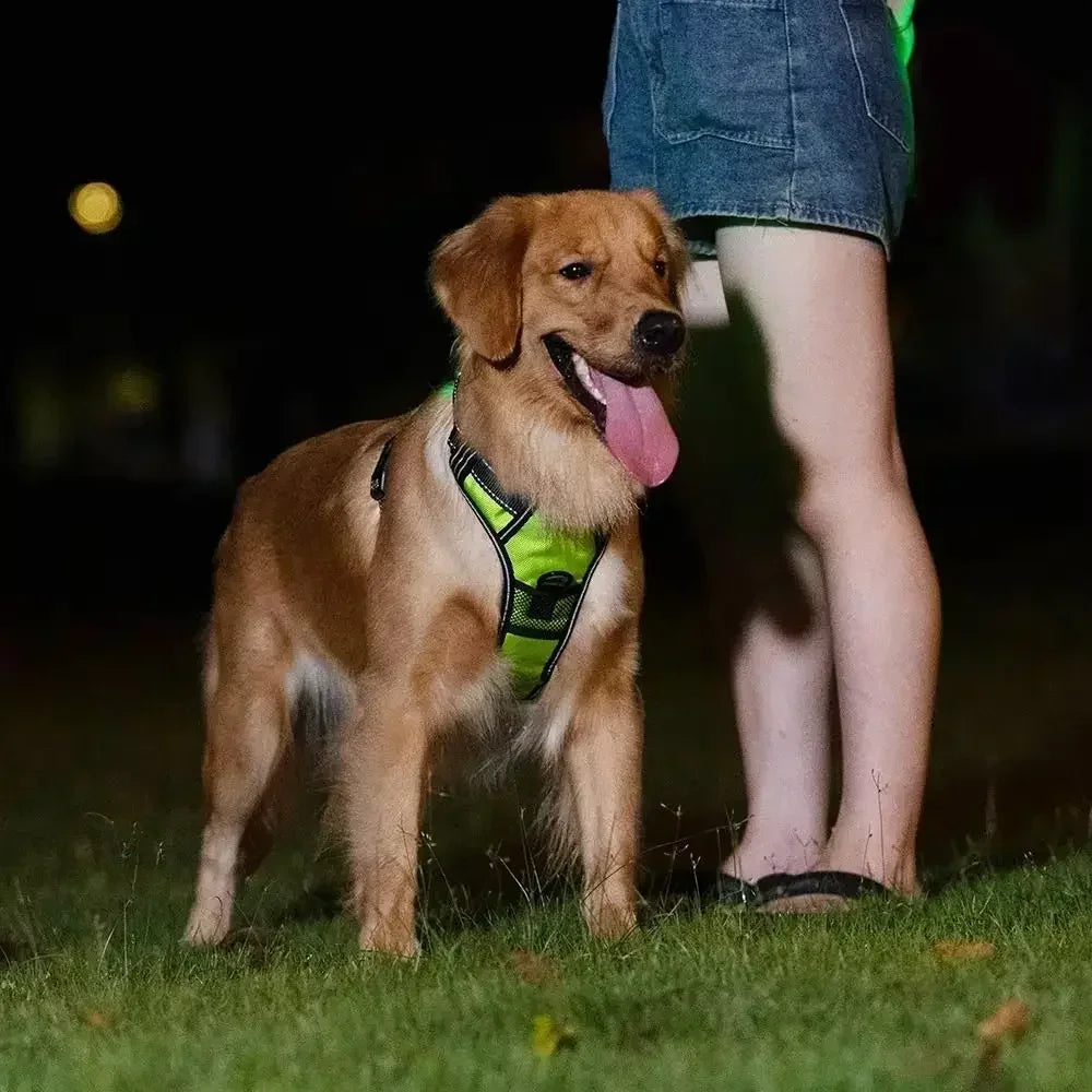Durable Light Up LED Pet Harness