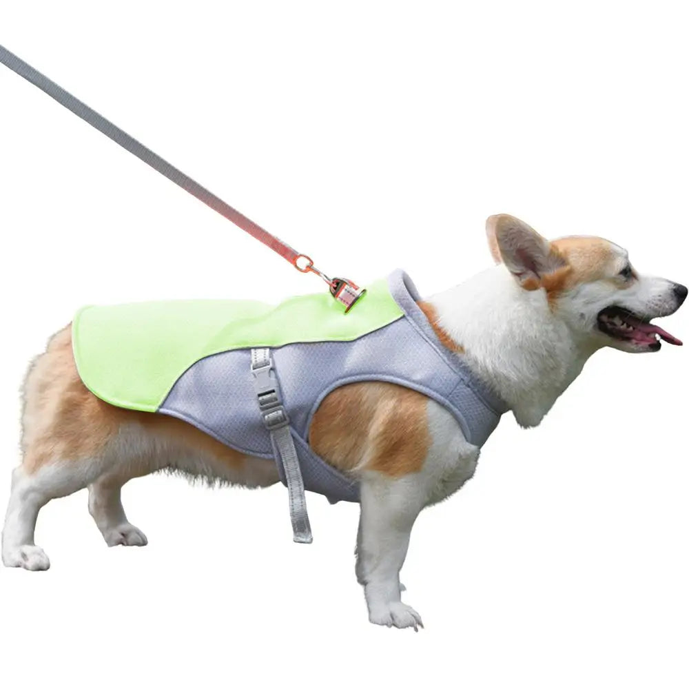 Dog Cooling Summer Harness