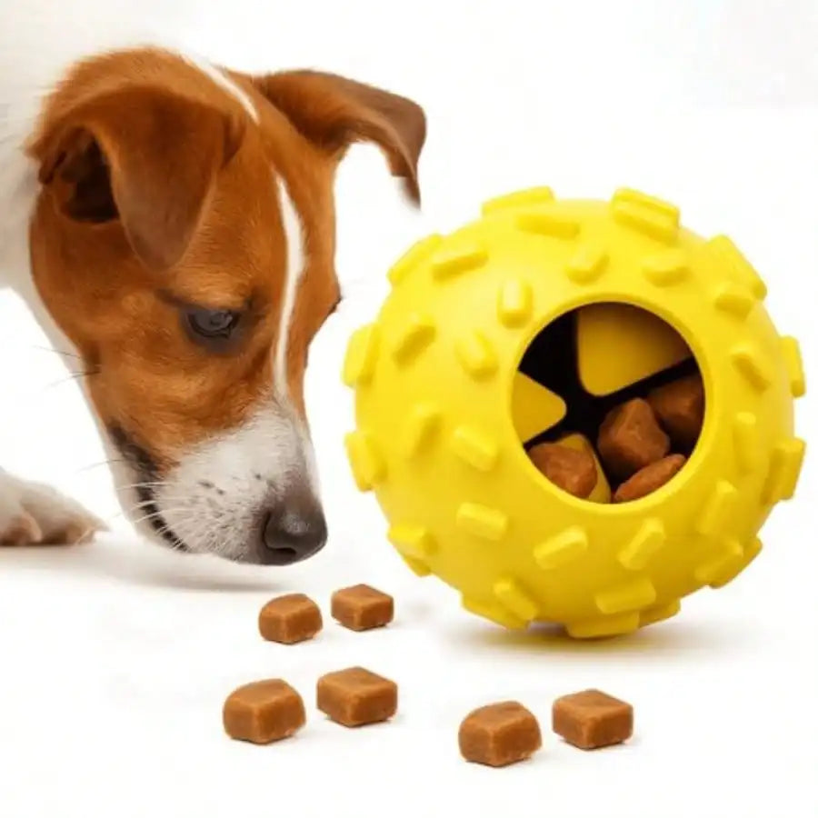 Durable Treat Dispensing Puzzle Toy