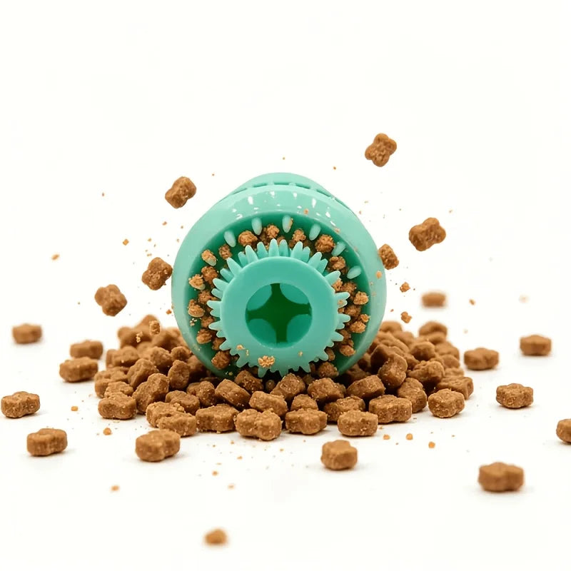 Safe and Fun Chew Toy