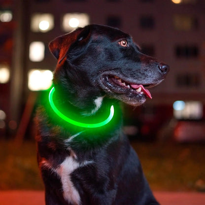 LED Glow Doggie Collar