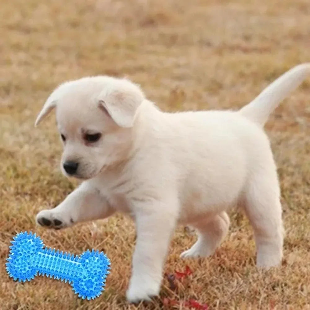 Summer Dog Chew Toys