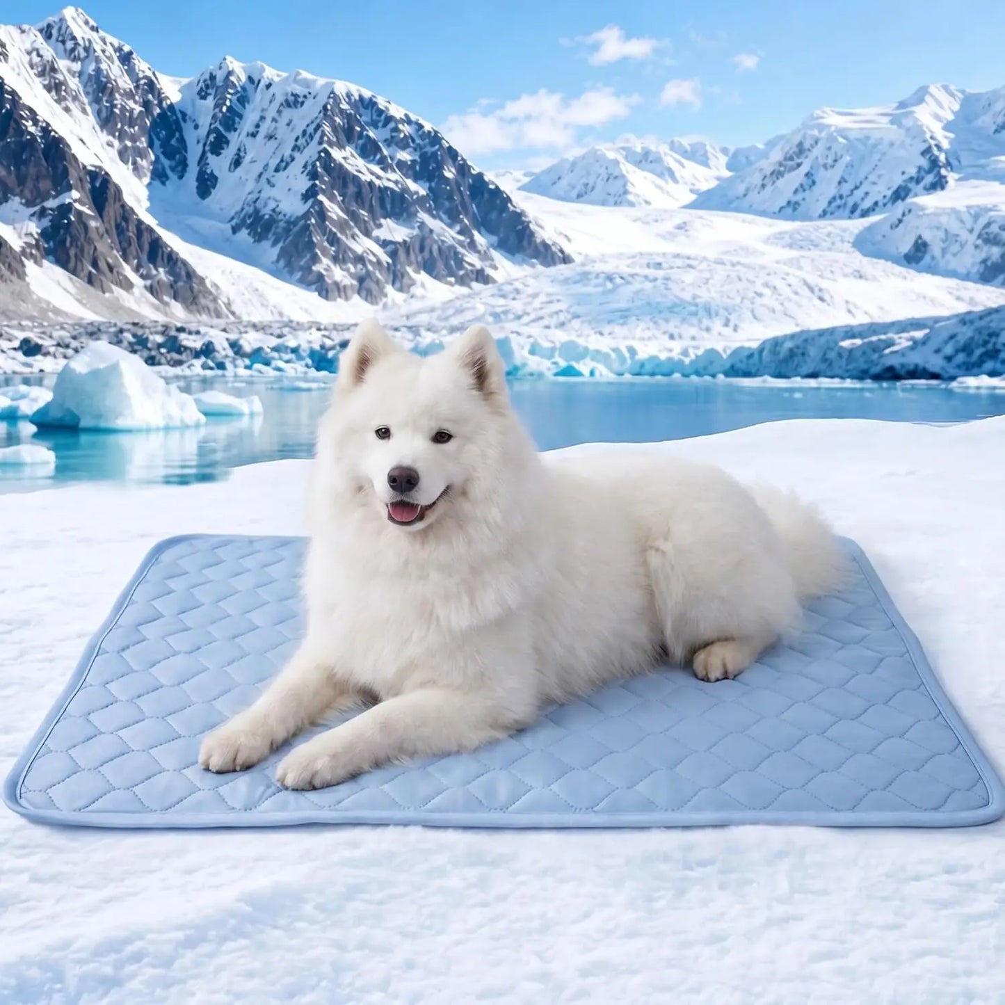 4-Pack Washable Pet Pee Pads