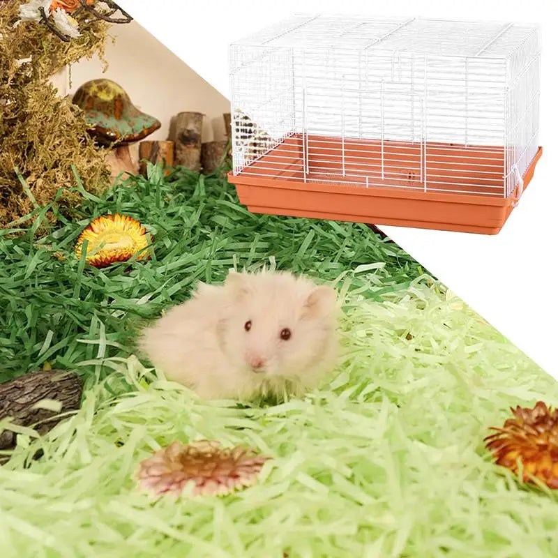 Small Pet Habitat with Detachable Bottom