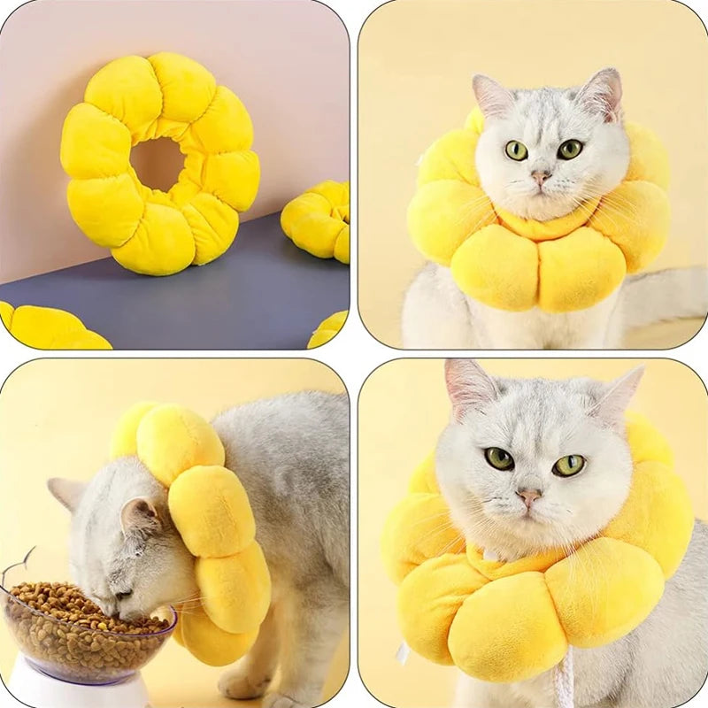 Comfortable Pet Recovery Collar