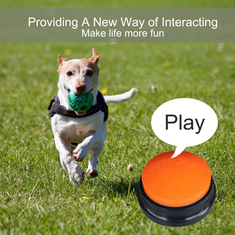 Dog Buttons for Communication and Training