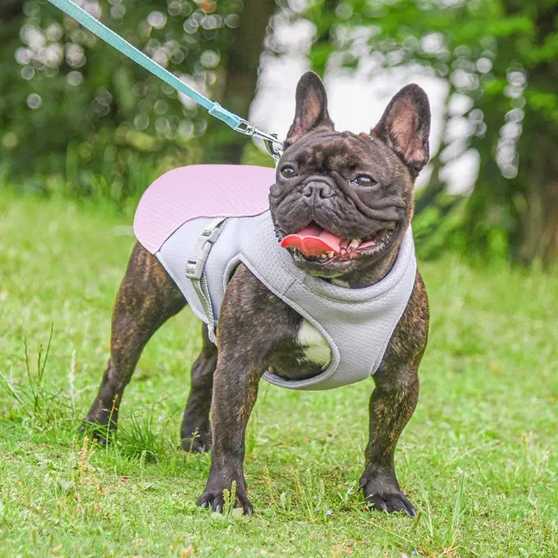 Dog Cooling Summer Harness
