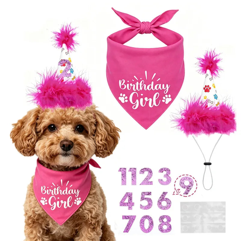 Pet Birthday Party Set