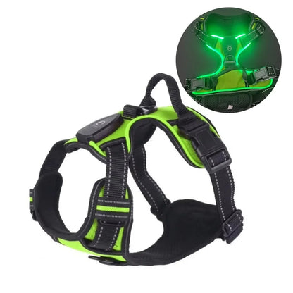 Durable Light Up LED Pet Harness