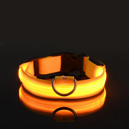 Nylon LED Night Safety Pet Dog Collar
