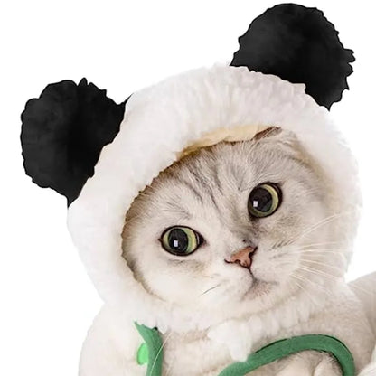 Fun Pet Costume for Halloween and Pictures