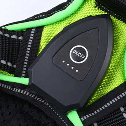 Durable Light Up LED Pet Harness