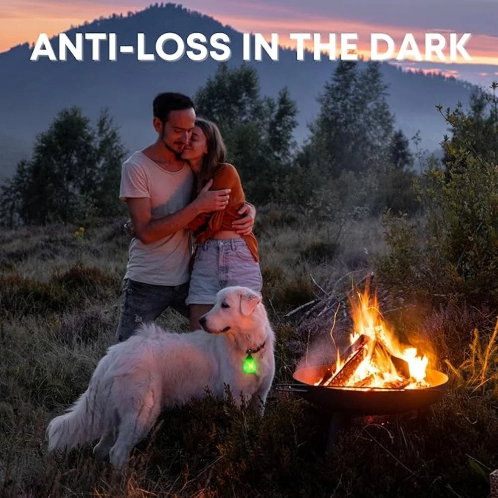 LED Pet Collar Light, Clip-On Safety Light