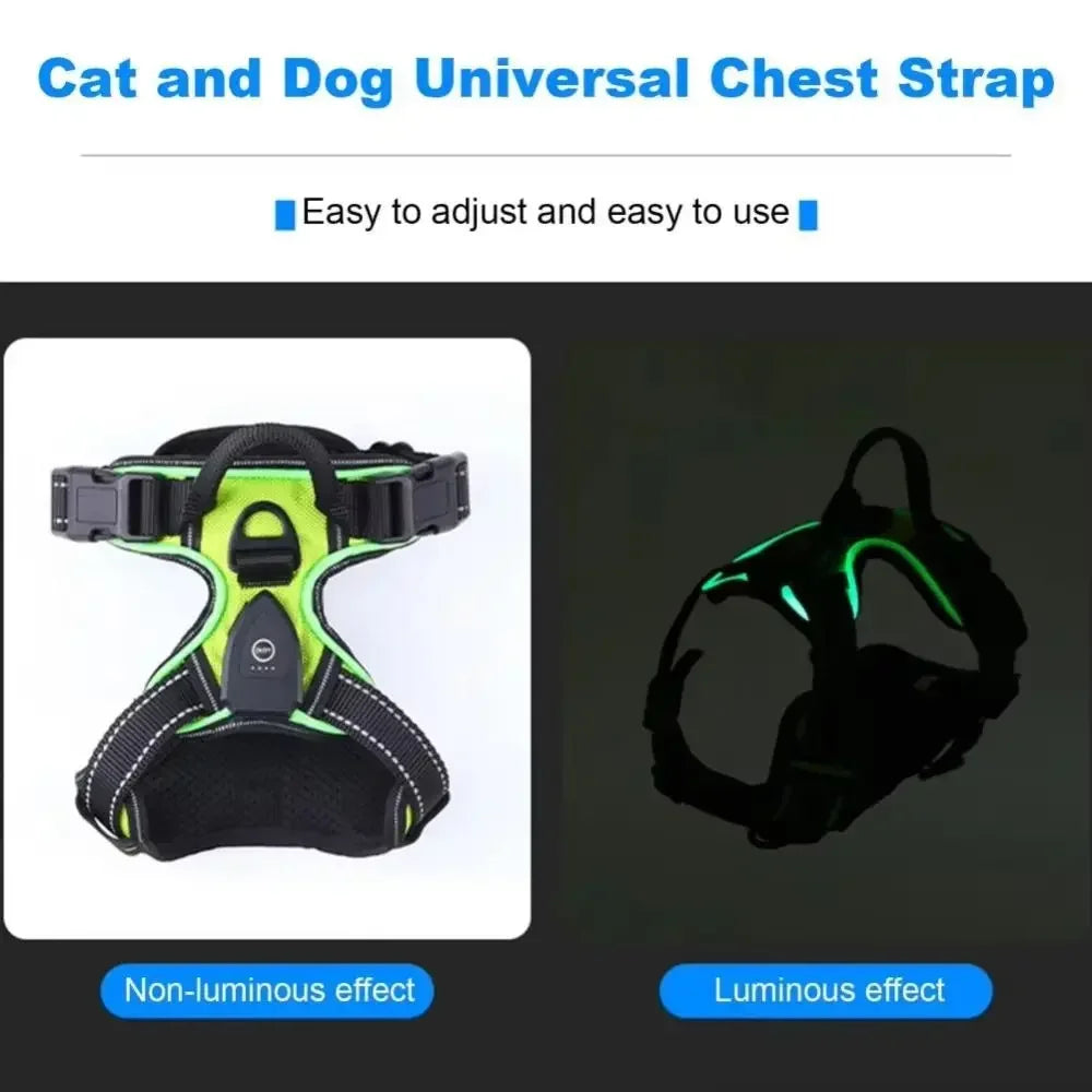 Durable Light Up LED Pet Harness