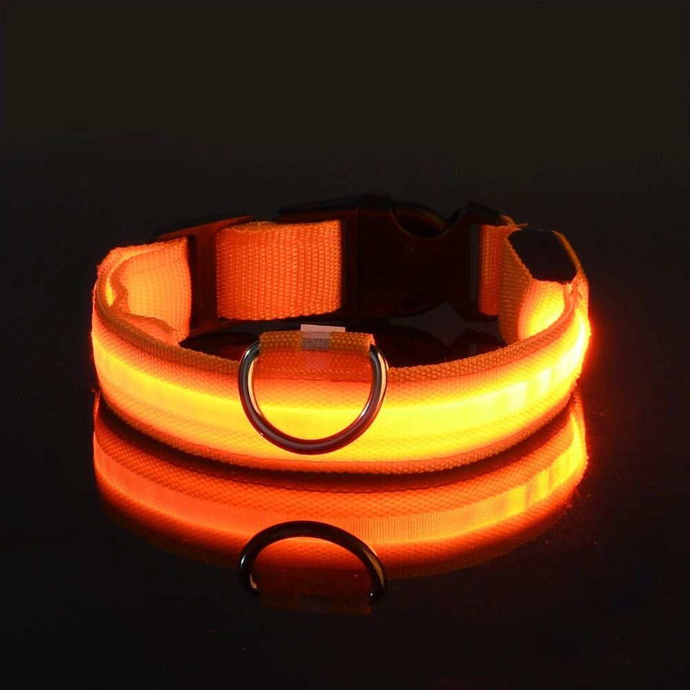 Nylon LED Night Safety Pet Dog Collar