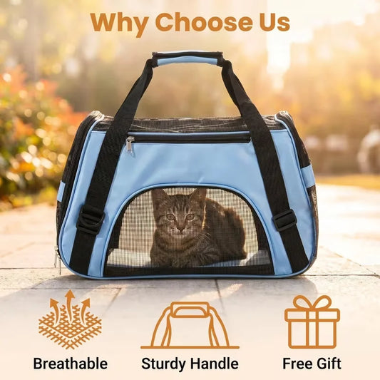Sturdy Ventilated Travel Pet Carrier in Blue
