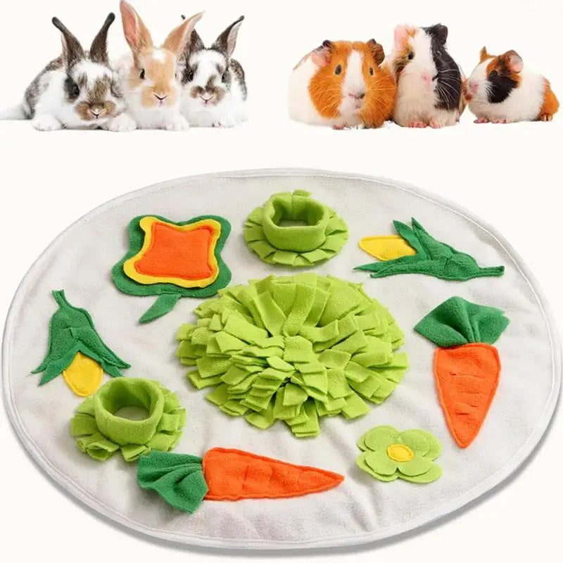 Mat Boredom-Busting Pet Game