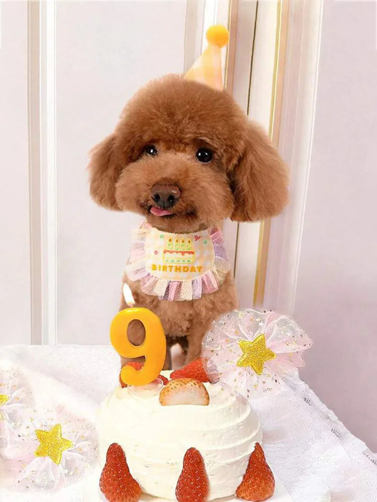 Adorable Pet Birthday Bib and Party Hat