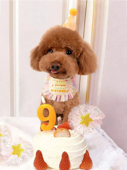 Adorable Pet Birthday Bib and Party Hat