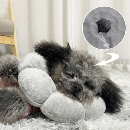 Comfortable Pet Recovery Collar